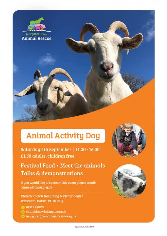 Animal Activity Day